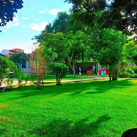 فندق Grand Emir & داليان